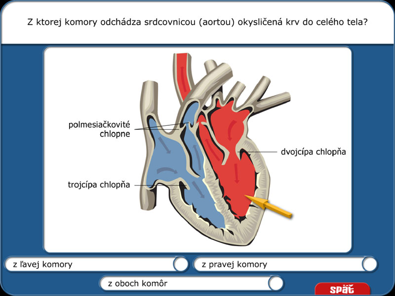 Didakta - Biológia 2